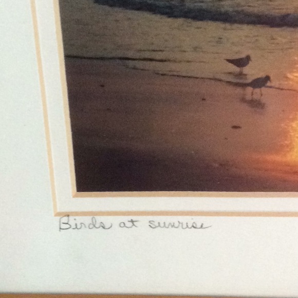 Birds at sunrise signed framed photo - Picture 5 of 7